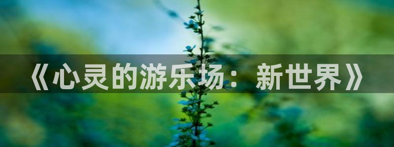 杏宇平台登录官网：《心灵的游乐场：新世界》