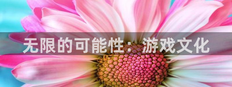 杏宇平台登陆入口