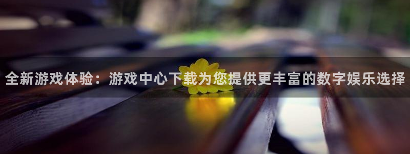 杏宇总代理