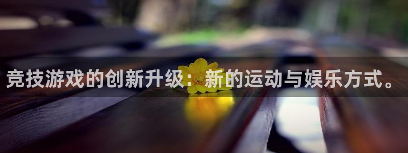 杏宇平台代理注册：竞技游戏的创新升级：新的运动与娱乐方式。