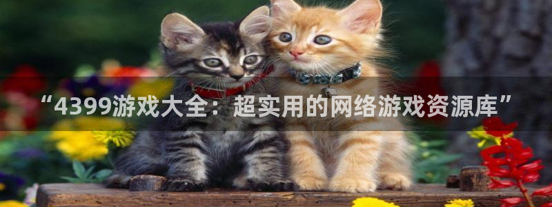 杏宇平台登陆入口