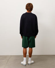 PANELED STRIPE CREW